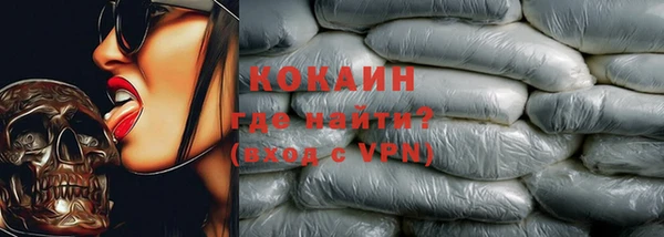 мдпв Козельск