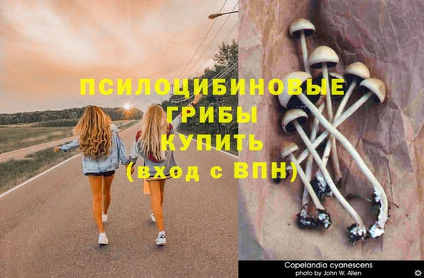 молекула духа Абдулино