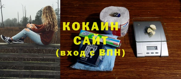 мдпв Козельск