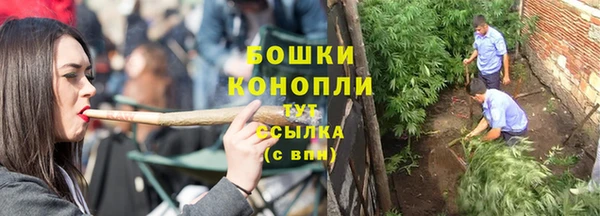 СК Козловка
