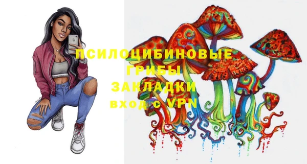 СК Козловка