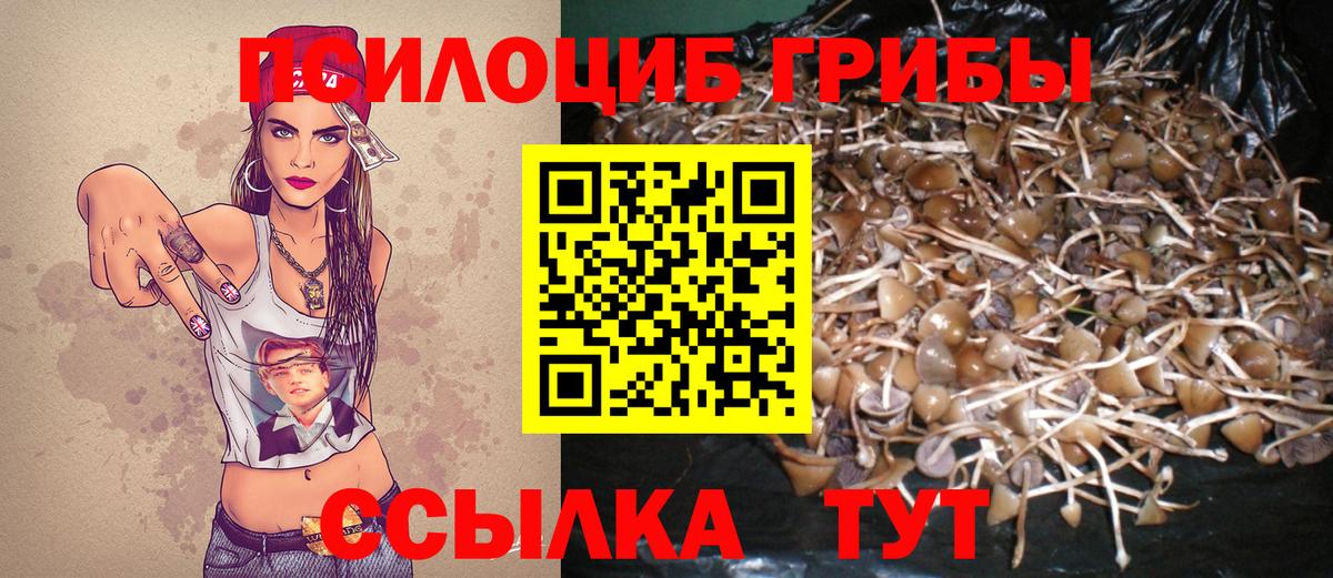 Псилоцибиновые грибы Psilocybe Зеленокумск