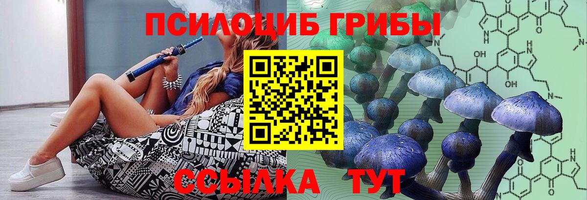 Зеленокумск  Галлюциногенные грибы Psilocybe  Галлюциногенные грибы Cubensis  Вход с VPN 