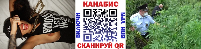 Марихуана сатива  магазин продажи   Зеленокумск 